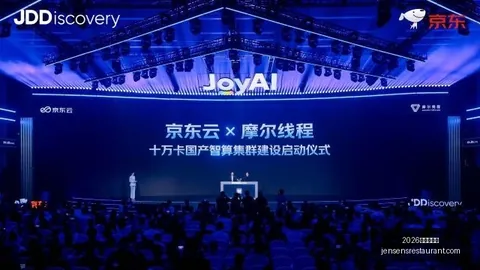 恩科洛洛回归赛场，享受竞技乐趣，备战攻略